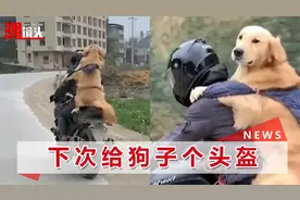 广西男子骑摩托驮狗子回家过年：养2年多了，有感情视频封面