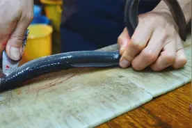 日本街边炭烧鳗鱼，2100日元一条，看完制作过程你觉得贵吗？视频封面