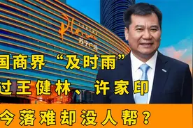 当年出资340亿救王健林，豪掷200亿给恒大渡难关，如今落难无人帮视频封面