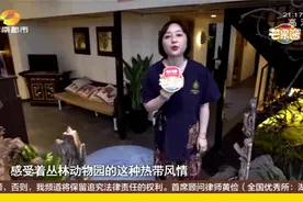 热带丛林里的泰式SPA,给你愉悦放松的一站式体验视频封面