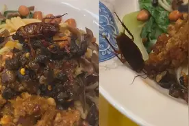 广西一男子吃粉吃出大号蟑螂 当事人：还以为是赠送的蚕蛹