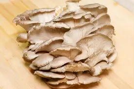 蘑菇这样做真的太好吃了，做法简单家常，营养又美味，孩子超爱吃