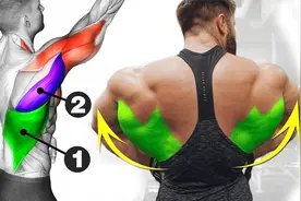 背部的宽度不够，6个高效训练动作，让你的背变宽