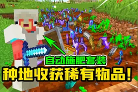 MC规则通关挑战：种甜菜收获钻石？种小麦收获稀有物品！一身神装