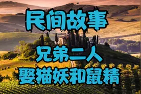 聊斋故事：兄弟二人娶猫妖和鼠精，起初家无宁日，日后成就佳话视频封面