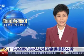 广东检察机关对王铭晖提起公诉 受贿数额特别巨大 情节特别严重视频封面