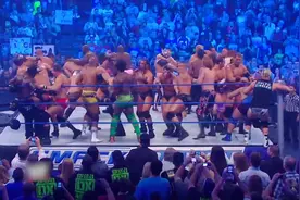 群演出场费得多高？WWE最强赛制，全场混战，能赢下来的是真王视频封面