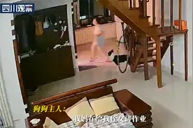 主人忘记关火狗狗狂吠提醒视频封面