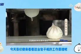 包子机做出的包子好吃吗？视频封面