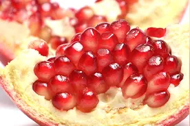 吃完石榴，石榴籽别当垃圾扔了，随手扔进花盆里，朋友见了纷纷学