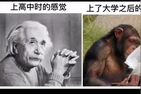 高中时我觉得我是爱因斯坦，直到我到了大学之后（爆笑沙雕梗图）视频封面