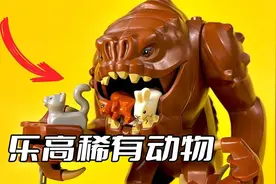 乐高稀有动物零件 你见过多少？视频封面