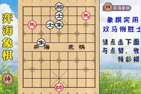 【象棋实用残局】双马例胜士象全，双马饮泉是要掌握的进攻思路！视频封面