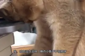 搞笑视频：让你去睡觉，你非得赖着我现在好了吧，睡的我看了都问