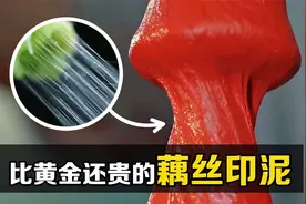 “藕梗拉丝”有什么用？为什么混进印泥当中，卖的比黄金还贵？视频封面