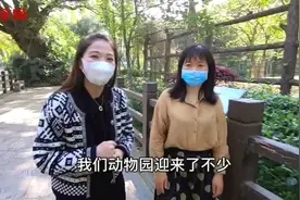 帮帮侠VLOG：福州动物开园啦，现在去动物园要注意这几点哦！视频封面