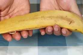 小小香蕉皮还有大作用，好多人不懂，想不到这么厉害，长见识