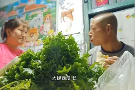 生活在东北农村，离不开这片菜地，拔几棵大葱蘸大酱，喝酒真给力视频封面