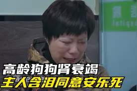 16岁高龄狗狗肾衰竭，主人含泪同意“安乐死”视频封面