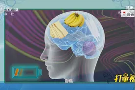 这种水果可以保健大脑，食用后会感到快乐，快看看是啥|健康之路视频封面
