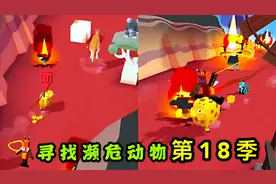 疯狂动物园：寻找30只濒危动物第18季，澳洲中的濒危绵羊