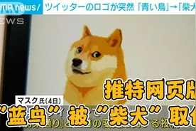 【日语新闻】【中日字幕】推特网页版logo由“蓝鸟”变为“柴犬”视频封面