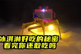模型制作：冰淇淋好吃的秘密，原材料竟然如此恶心视频封面