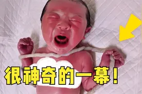 刚分娩出来的新生儿长啥样？视频记录产房内很神奇的一幕！视频封面