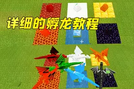 我的世界：超详细的孵龙蛋教程！手机电脑都实用