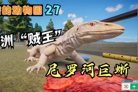 动物园之星：非洲贼王，尼罗河巨蜥！视频封面