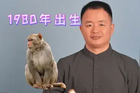 1980年出生的猴子生肖猴属相猴孙悟空生肖好运属相好运生肖运势