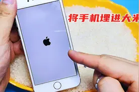 手机不小心进水怎么办？维修店师傅教我一招，不用花钱也能继续用视频封面