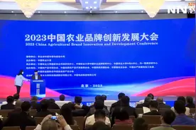 宁夏：聚焦六特产业 打造农业精品品牌视频封面