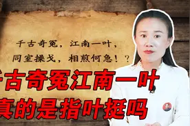 周恩来写的“千古奇冤，江南一叶”，真的是指叶挺吗视频封面