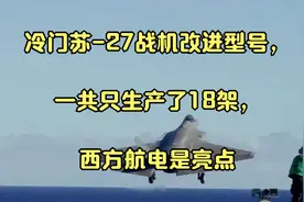 冷门苏-27战机改进型号，一共只生产了18架，西方航电是亮点视频封面