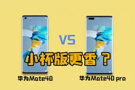 4999元的华为Mate40对比Mate40 Pro，为什么有人说小杯版更香？视频封面
