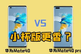 4999元的华为Mate40对比Mate40 Pro，为什么有人说小杯版更香？视频封面