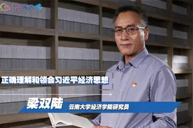 【云视理论】正确理解和领会习近平经济思想视频封面