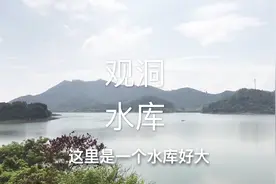 惠州—观洞水库，比红花湖还要大，网友：这里钓鱼收费50元视频封面