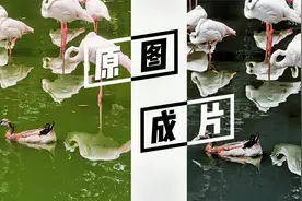 美景被一池脏水破坏？！后期修图拯救你