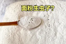 面粉杂粮易生虫？磨面坊老板教我一招，面粉放1年都不结块不生虫视频封面