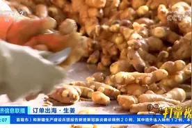 订单出海！山东安丘：生姜出口大幅增加|经济信息联播视频封面