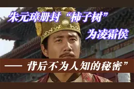 朱元璋册封柿子树为“凌霜侯”，背后不为人知的秘密@头条读书会视频封面