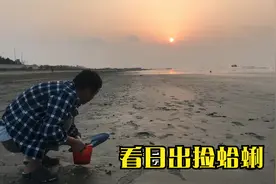 乳山银滩欢度国庆，清晨家门口看日出，送福利，1分钱不花吃蛤蜊视频封面