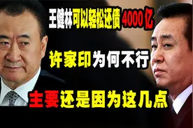 王健林可以轻松还债4000亿，许家印为何不行？主要还是因为这几点视频封面