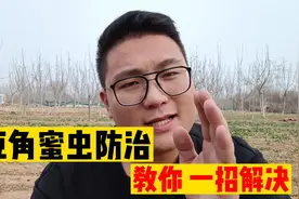 豆角蜜虫很难防治，教你一招解决，不用打农药，蜜虫全部都消失！视频封面