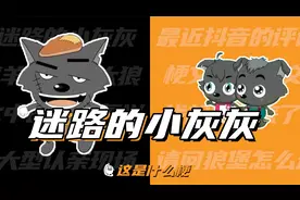 这是什么梗：迷路的小灰灰？评论区的文艺复兴罢了视频封面