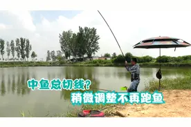 钓鱼切线不一定是鱼线差，原因还有这几点，稍微改变不再跑鱼视频封面
