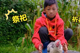 尼泊尔村民杀鸡祭祀，祈祷好收成不饿肚子，最终逃不过鸡毛灰拌鸡视频封面