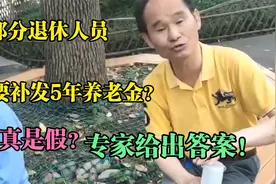 部分退休人员，将要补发5年养老金？到底是不是真的，专家这么说视频封面